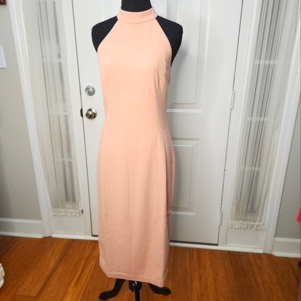 NWT BLUSH Dress The Population Halter Dress Size LARGE